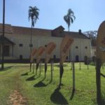 Saidera Fazenda Santa Gertrudes