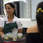 Festival do Japão 2014