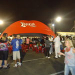 Liga das Escolas de Samba 2013