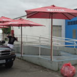 Liga das Escolas de Samba 2013