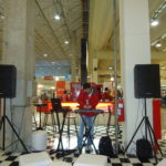 Festival do Japão 2013