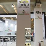 Festival do Japão 2014