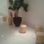 Carpe Vita Winter Party