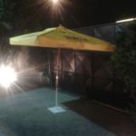 Carpe Vita Winter Party