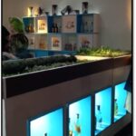 Stand Aurora na feira BCB - 2022